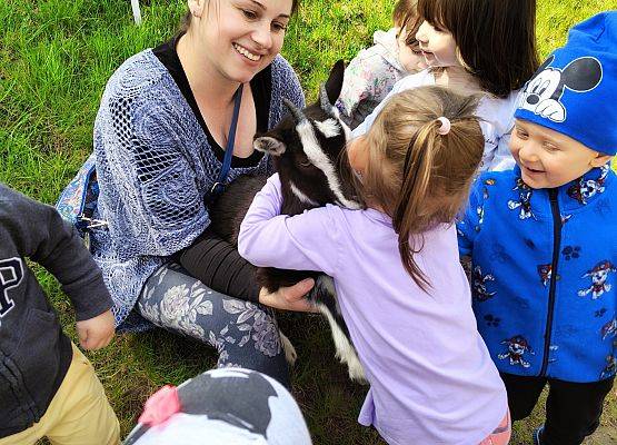 Dzieci podczas spotkania z koza i kogutem