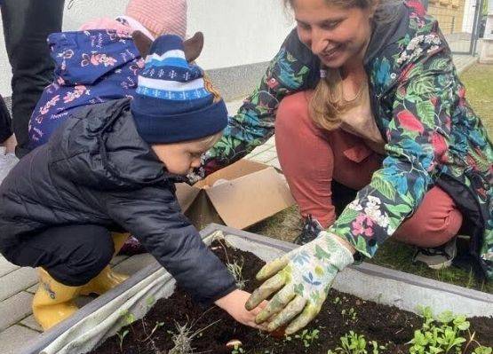 Sadzenie cebulek kwiatowych w żłobkowym ogródku