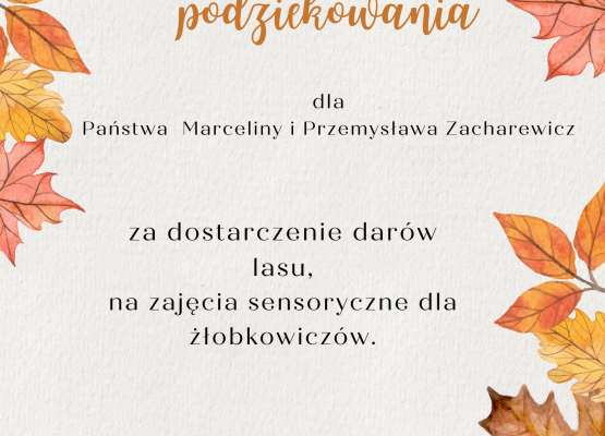 Serdeczne podziekowania dla Państwa Marceliny i Przemysława Zacharewicz za dostarczenie darów lasu do żłobka