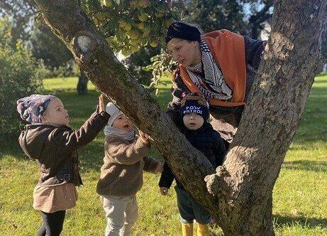 Dzieci poznają budowę drzewa