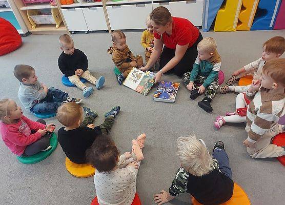 Jak wygląda prawdziwy miś? -zapoznanie dzieci z wyglądem niedźwiedzi