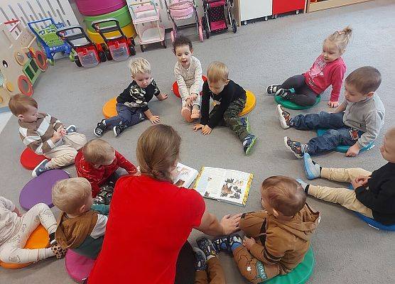 Jak wygląda prawdziwy miś? -zapoznanie dzieci z wyglądem niedźwiedzi