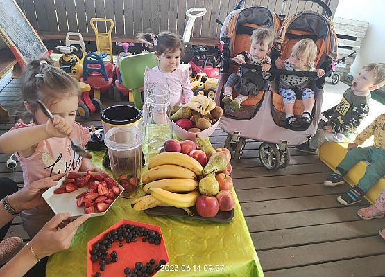 Grafika 11: Podsumowanie projektu "Zdrowe dzieci"