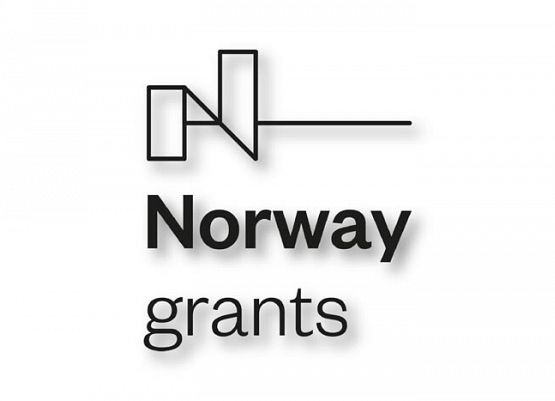 Grafika 1: Podsumowanie projektu "Zdrowe dzieci"