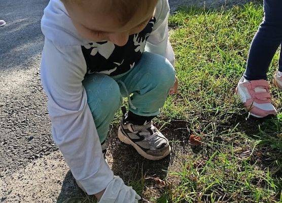 Światowy dzień sprzątania ziemi