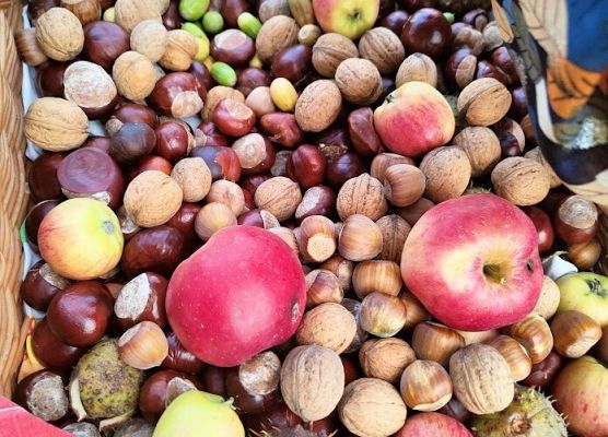 Powitanie Pani Jesieni