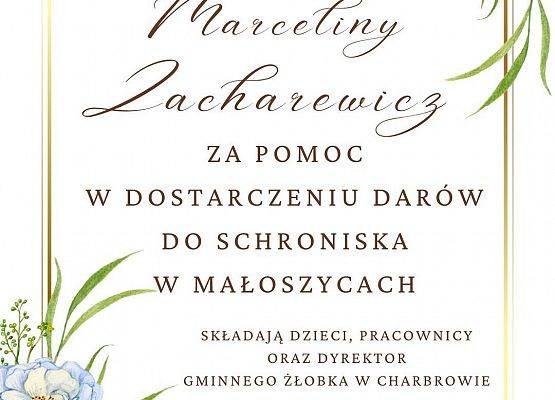 Serdeczne podziękowania dla Pani Marceliny Zacharewicz za pomoc w dostarczeniu darów do schroniska dla zwierząt w Małoszycach