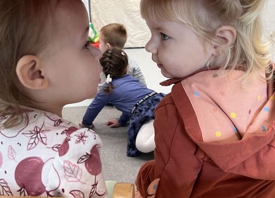 Teatrzyk kukiełkowy do wiersza '' Na straganie'' Jana Brzechwy.