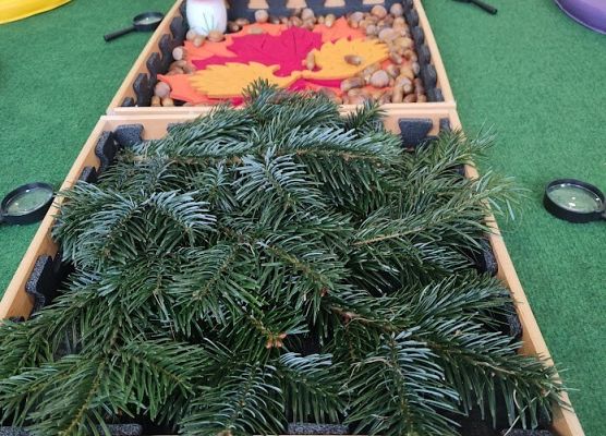 Zajęcia sensoplastyczne ''Jesienna ścieżka''.