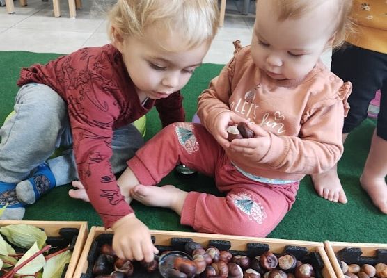 Zajęcia sensoplastyczne ''Jesienna ścieżka''.