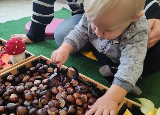 Zajęcia sensoplastyczne ''Jesienna ścieżka''.