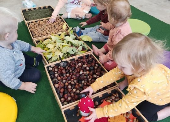 Zajęcia sensoplastyczne ''Jesienna ścieżka''.