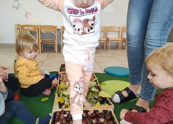 Zajęcia sensoplastyczne ''Jesienna ścieżka''.