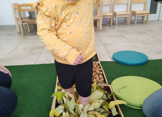 Zajęcia sensoplastyczne ''Jesienna ścieżka''.