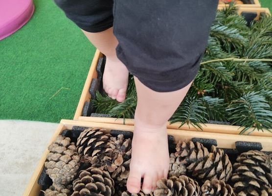 Zajęcia sensoplastyczne ''Jesienna ścieżka''.