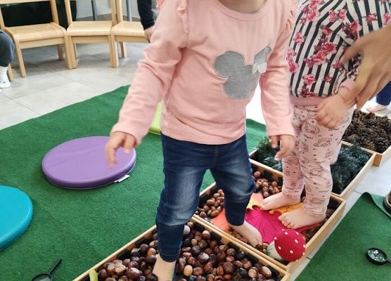 Zajęcia sensoplastyczne ''Jesienna ścieżka''.