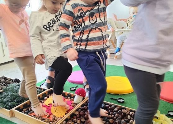 Zajęcia sensoplastyczne ''Jesienna ścieżka''.