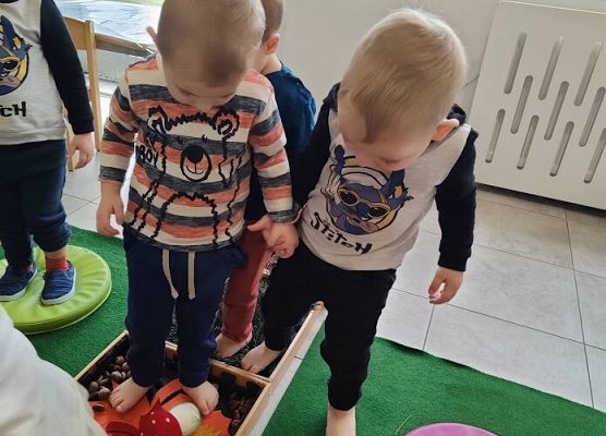 Zajęcia sensoplastyczne ''Jesienna ścieżka''.