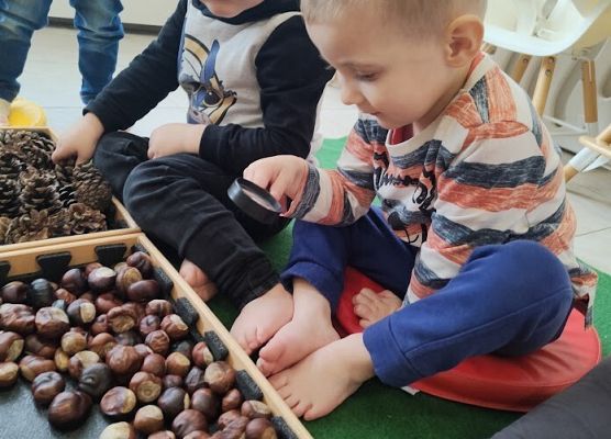 Zajęcia sensoplastyczne ''Jesienna ścieżka''.