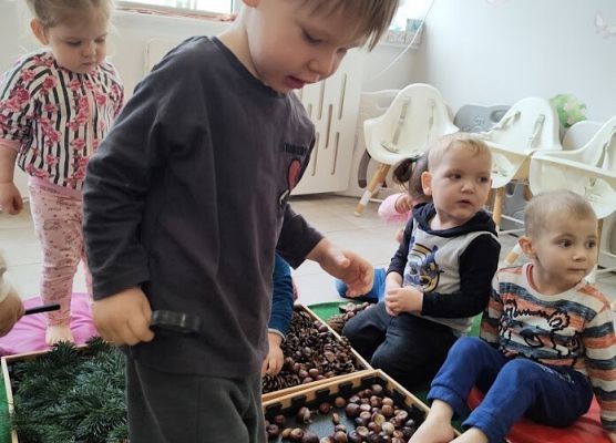 Zajęcia sensoplastyczne ''Jesienna ścieżka''.