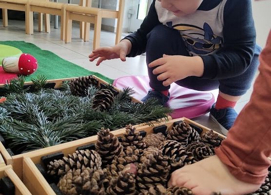 Zajęcia sensoplastyczne ''Jesienna ścieżka''.