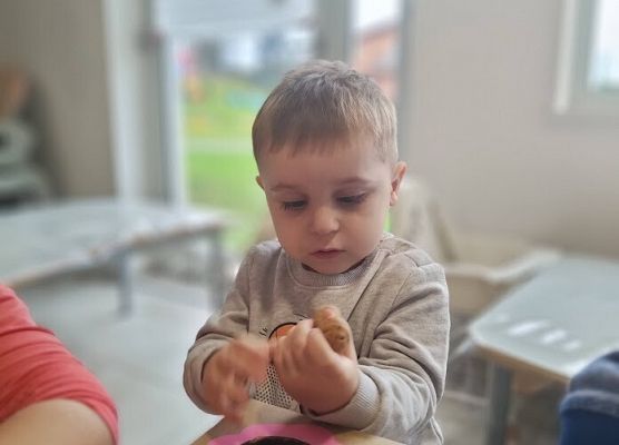 Wielozmysłowe poznawanie świata