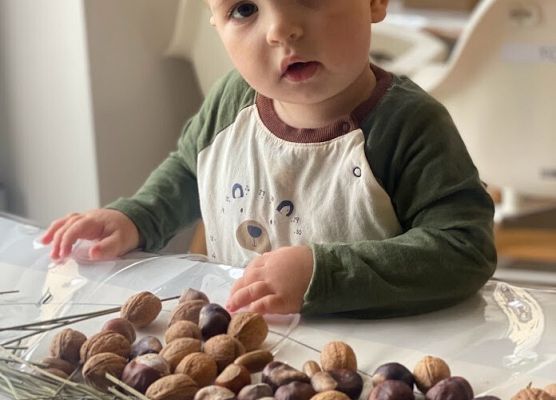 Wielozmysłowe poznawanie świata