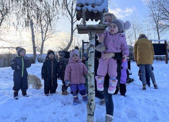 Dokarmiamy ptaszki :)