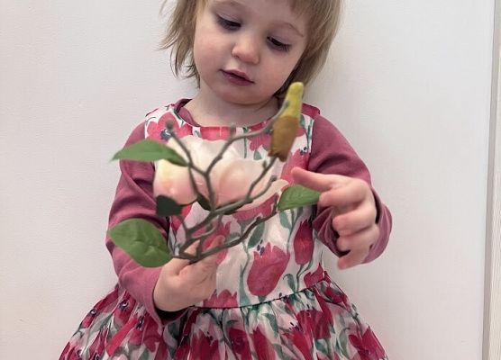 Dzień Babci i Dziadka