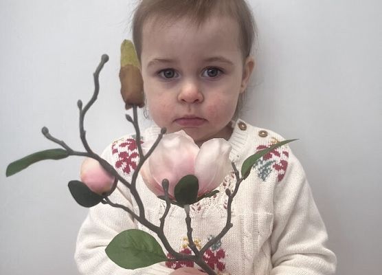 Dzień Babci i Dziadka