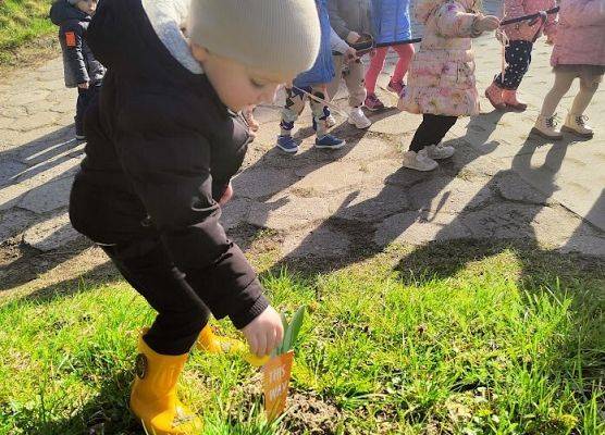 W poszukiwaniu zajączka wielkanocnego