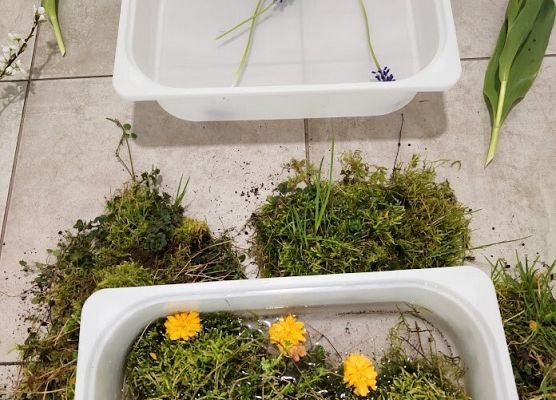 Wiosenna łąka zajęcia sensoryczne