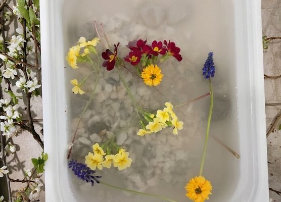 Wiosenna łąka zajęcia sensoryczne