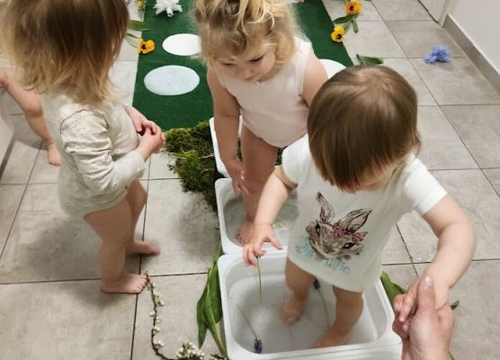 Wiosenna łąka zajęcia sensoryczne