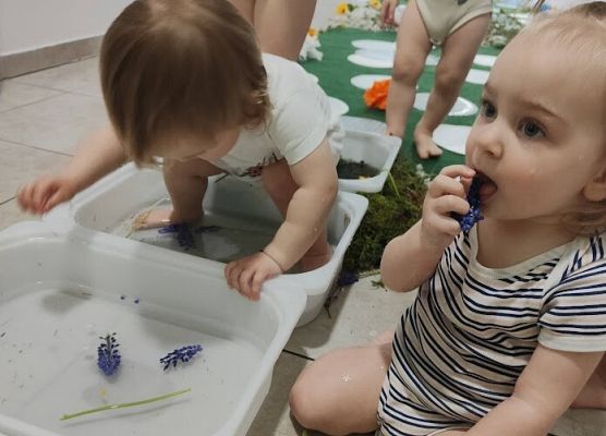 Wiosenna łąka zajęcia sensoryczne