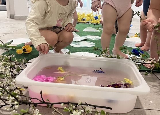 Wiosenna łąka zajęcia sensoryczne