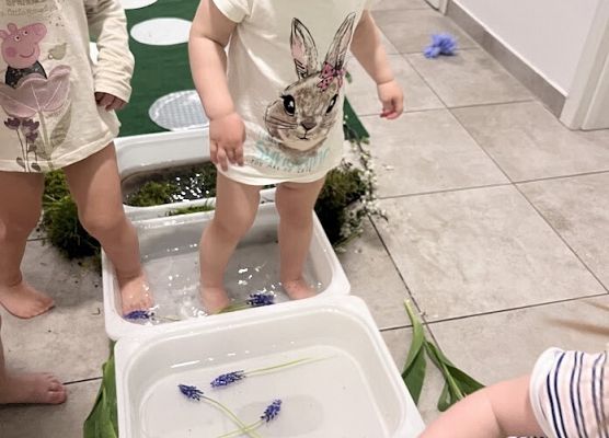 Wiosenna łąka zajęcia sensoryczne