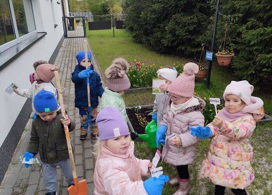 Światowy dzień Ziemi sadzimy warzywka w naszym żłobkowym ogródku