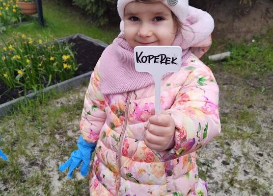 Światowy dzień Ziemi sadzimy warzywka w naszym żłobkowym ogródku