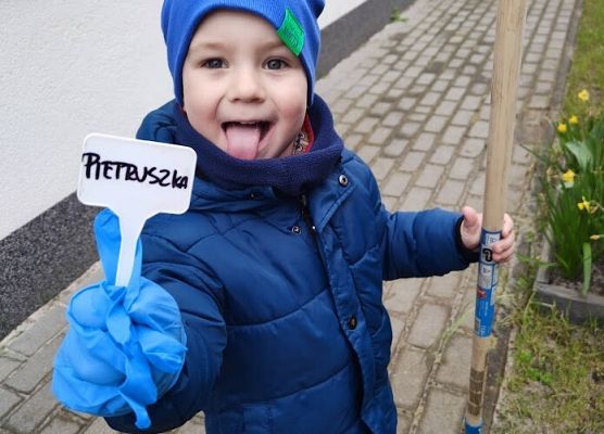 Światowy dzień Ziemi sadzimy warzywka w naszym żłobkowym ogródku