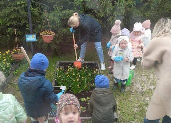 Światowy dzień Ziemi sadzimy warzywka w naszym żłobkowym ogródku