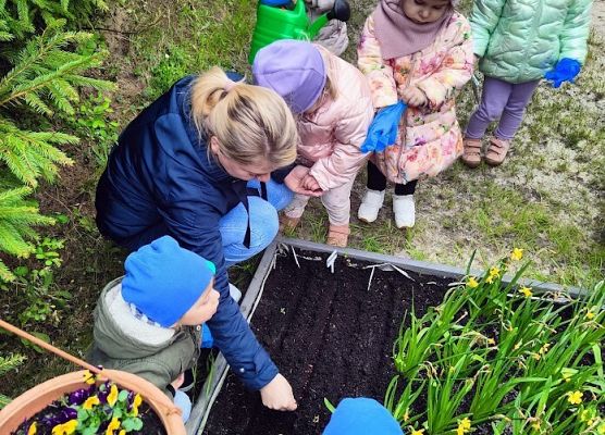Światowy dzień Ziemi sadzimy warzywka w naszym żłobkowym ogródku