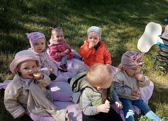 Piknik maluszków