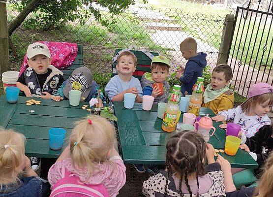 Gościnność Państwa Augustyn