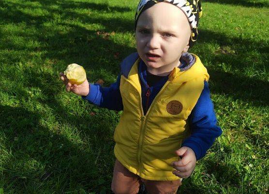 Wizyta w sadzie u Państwa Filipionek