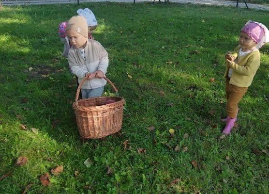 Wizyta w sadzie u Państwa Filipionek