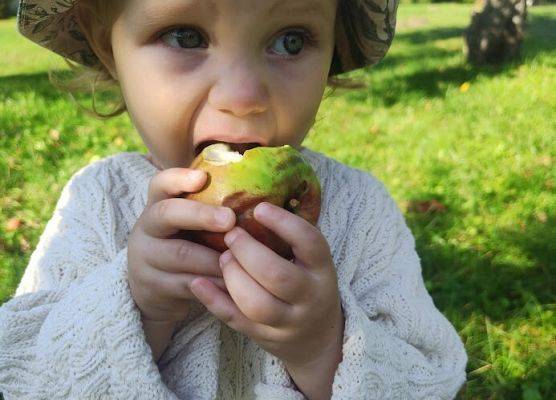 Wizyta w sadzie u Państwa Filipionek