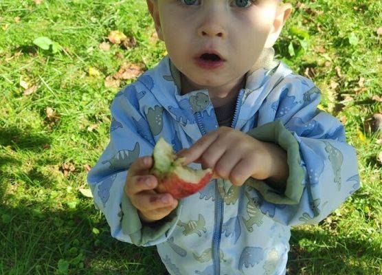 Wizyta w sadzie u Państwa Filipionek