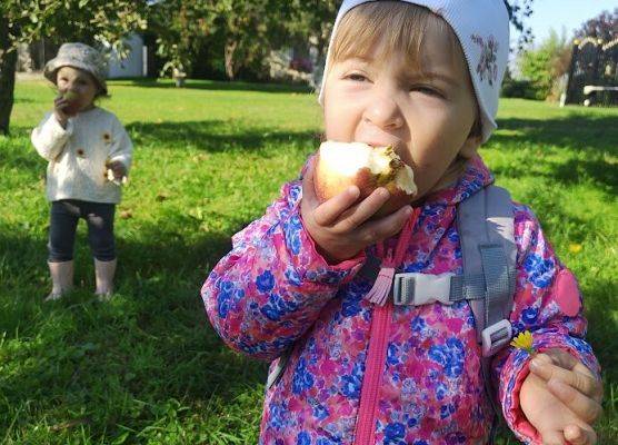 Wizyta w sadzie u Państwa Filipionek