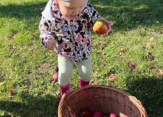 Wizyta w sadzie u Państwa Filipionek